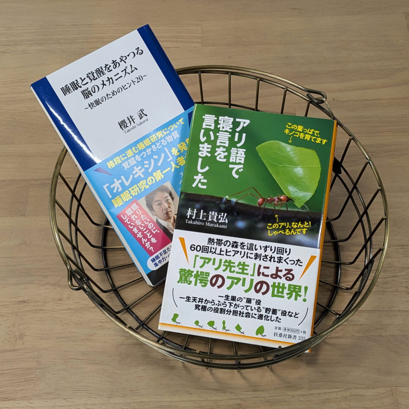 春の睡眠トラブル解消！快眠のためのおすすめ本紹介 | 株式会社ディー