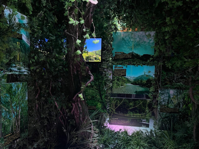 観察院-パワースポット-