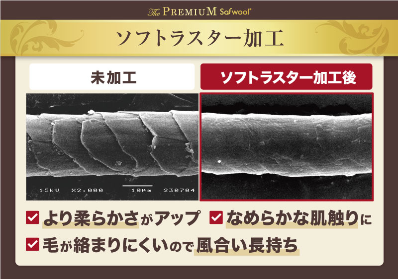 プレミアムソフゥール 2