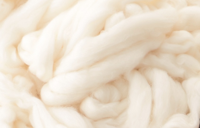 プレミアムソフゥール 2