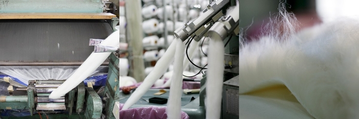 「パイルの日」記念日制定