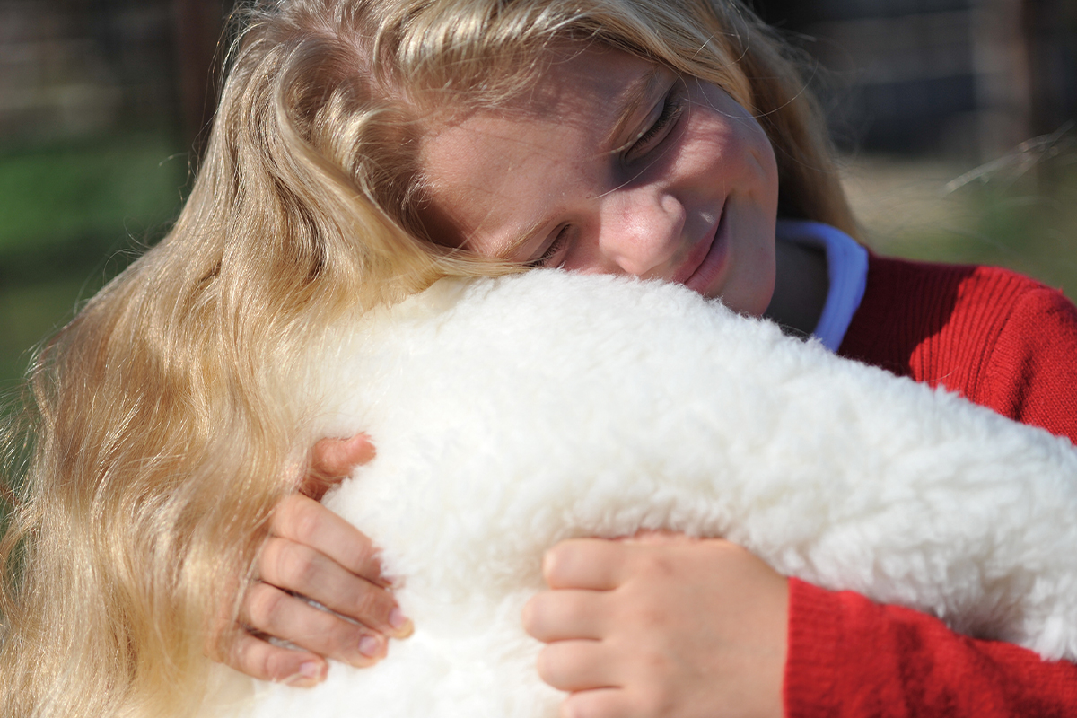 Sofwool ソフゥール ウール 寝具 羊