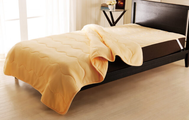 トリプルサーモ